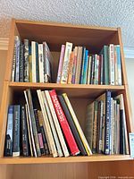Upper two shelves visually showing assorted travel, art, music and city history books