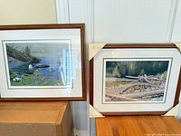 Both framed prints side by side