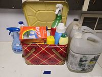 Overall view of tote filled with cleaning products and two gallon jugs