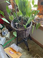 Plant in wicker planter on tripod stand