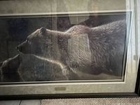 Front view of framed print showing image of two grizzlies
