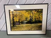 Front view showing autumn photograph, mat and frame