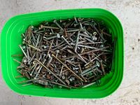 Top view of bucket showing large quantity of assorted screws
