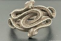 Front view of coiled snake ring showing intricate texture