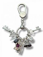 Full view of Pandora bag charm holder with all eight charms attached