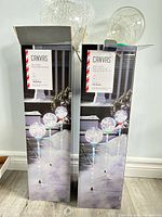 Front view of two Canvas LED fairy balloon stake boxes showing product image and specifications