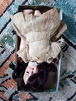 Full view of antique doll in box showing dress, wig and limbs