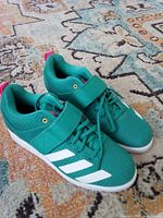 Overall view of the pair of teal Adidas workout shoes showing design, color and condition