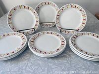 All twelve Steelite Fanfare plates displayed, showing full design and quantity