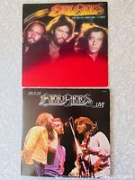 Both Bee Gees album covers shown together on flat surface