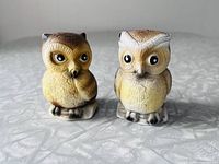 Front view of both ceramic owl shakers showing colour and detailing