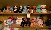 Overall view of two shelves filled with TY Beanie Babies