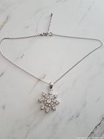 Full view of necklace showing chain, pendant, and extension