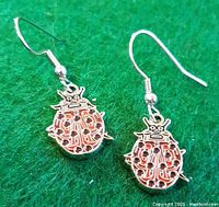 Two ladybug earrings on green background