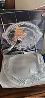 Box and one glass fish platter shown with protective packing