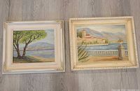 Framed oil paintings front view