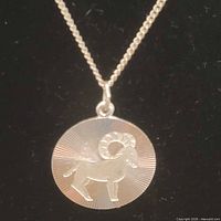 Necklace hanging showing pendant and chain