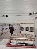 Front view showing all books in lot