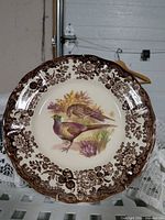 Front view of Royal Worcester pheasant plate showing full design and border