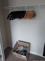 Closet showing all wooden hangers on rail and box of plastic hangers on floor