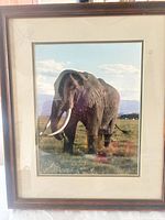 Framed elephant photo with brown frame and cream mat