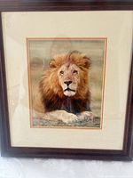 Front view of framed lion print showing entire frame and mat