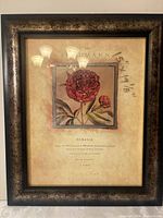 Front view showing framed botanical print with red peony and French text
