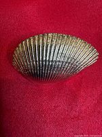 Front view of gold-tone seashell scarf clip