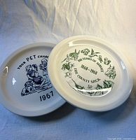 Two Buffalo China commemorative plates side by side