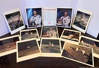 All twelve photographs and fact sheet arranged for overview