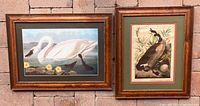 Swan and Canada Goose framed lithographs side by side