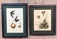 Both framed Audubon lithographs side by side