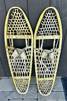 Full view of both snowshoes front side