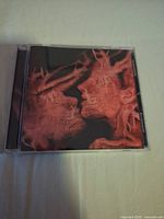 Front view of CD in jewel case showing album artwork