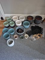 Overall view of entire lot with assorted planters, glass terrarium and drip trays