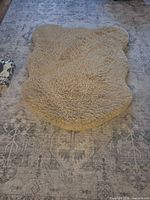 Top view of irregular beige/tan shag rug on patterned floor