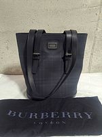 Front view of Burberry plaid bucket bag with dust cover
