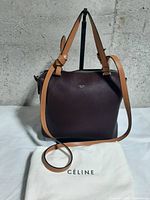 Front view of tote with shoulder strap and dust bag
