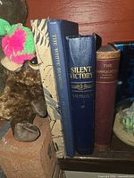 Spine view of three hardcover books showing titles and bindings