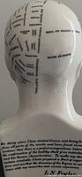 Rear view of ceramic phrenology bust showing printed cranial labels and maker mark