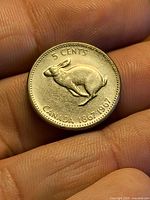 Reverse of 1967 Canadian 5-cent coin showing rabbit and denomination