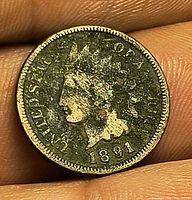 Obverse of 1891 Indian Head Cent with toning