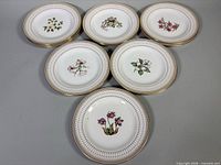 Group view of 12 provincial flower plates