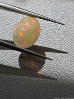 Oval Ethiopian opal held by tweezers showing multicolor flashes