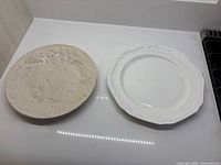 Two plates side by side showing overall appearance and size comparison