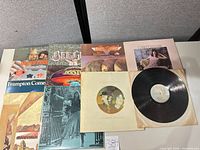 Group shot of all LPs spread out showing covers and one vinyl disc