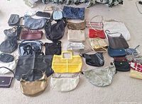 Overview of assorted 30+ bags laid out on carpet