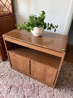 Front view of oak-finish swivel TV stand with plant on top