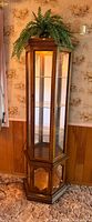 Full view of tall lighted curio cabinet showing wood frame, glass panels, top fern for scale