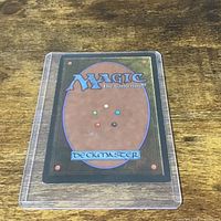 Backside of Magic: The Gathering card in clear sleeve on wooden surface